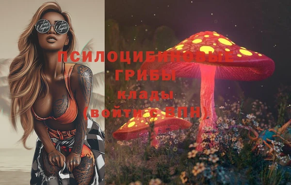 гашик Покачи