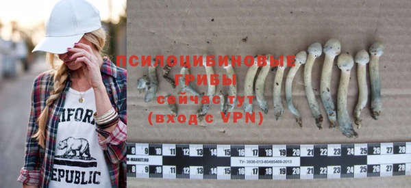 гашик Покачи