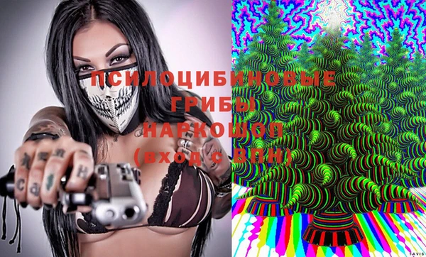 гашик Покачи