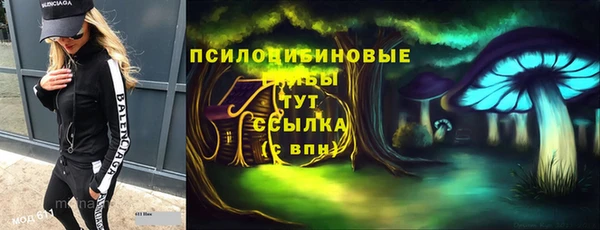 гашик Покачи