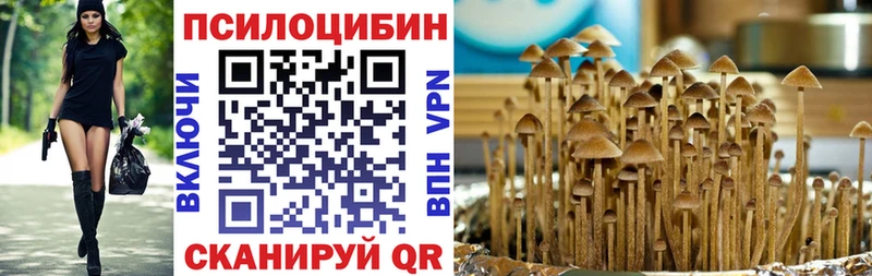 Галлюциногенные грибы Cubensis ОМГ ОМГ tor Солигалич